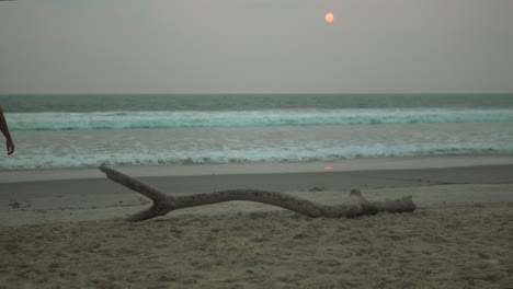 Hazy-sunset-over-a-calm-beach-with-a-large-driftwood-foreground,-creating-a-serene-scene