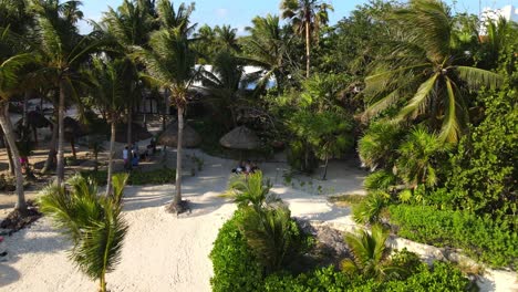 Drone-shot-of-beach-shore-with-white-sand-and-tall-palm-trees