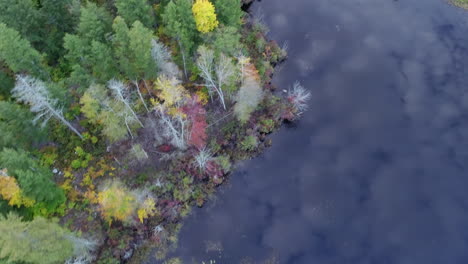 Spinning-drone-shot-over-a-sky-reflected-lake-with-colorful-aspen-trees-lining-the-shoreline