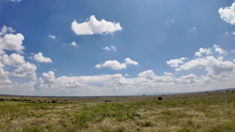 a-beautiful-panorama-of-savannah