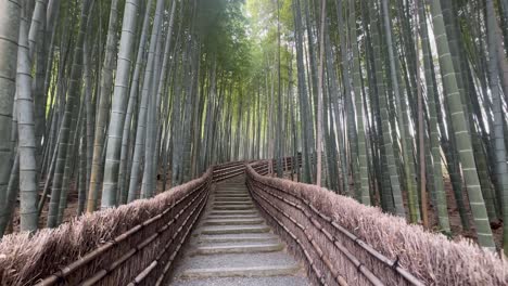 Escalera-De-Esgrima-De-Bambú-A-Lo-Largo-Del-Sendero-Del-Bosque-De-Bambú-En-Adashino-Nenbutsu-ji-En-Kioto,-Japón