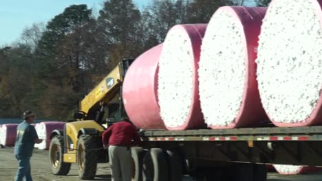 Caucasian-workers-handling-bales-of-picked-cotton-on-truck-ready-to-be-taken-to-processing-plant