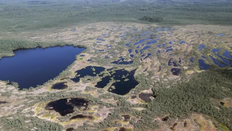 Nature-flyover:-Boggy-wetland-moor-in-northern-Europe-taiga-forest