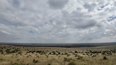 Toma-Panorámica-Del-Paisaje-De-Sabana-Salvaje-Africana-Con-Acacias,-Hierba-Y-Arena.