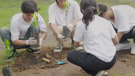 Grupo-De-Hombres-Y-Mujeres-Jóvenes-Plantando-Semillas-De-árboles-Juntos-En-Concientización-Sobre-El-Día-De-La-Tierra