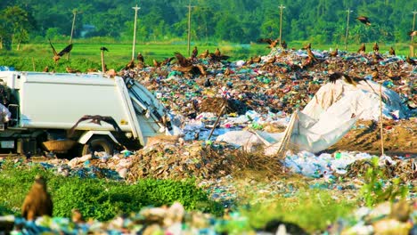 Camión-De-Basura-Municipal-Eliminando-Basuras-En-Vertederos-Con-Bandada-De-águilas-Cometas-Negras