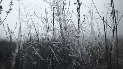 Gefrorenes,-Mit-Frost-Bedecktes-Gras-An-Einem-Kalten-Wintermorgen-In-Filmischer-Zeitlupe