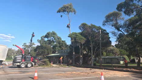 Tree-Removal-and-Lopping-Services-hanging-from-a-tree-operating-at-a-carpark-on-a-sunny-day-with-large-machinery