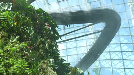 The-aerial-walkway-of-the-lost-world-Cloud-Forest-greenhouse-conservatory-with-temperature-control-and-continuous-spraying-misty-water-at-Garden-by-the-bay,-Singapore,-tilt-up-view