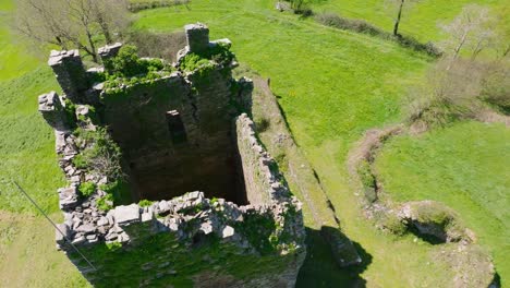 Plants-Growing-On-The-Ruins-Of-Torre-de-Tores-On-A-Sunny-Summer-Day-In-Lugo,-Spain