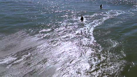 Una-Vista-Aérea-De-Surfistas-Disfrutando-Del-Agua-En-Un-Día-Soleado-En-Far-Rockaway,-Queens