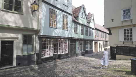 Historisches-Kopfsteinpflaster-In-Der-Elm-Street,-Charmante-Gebäude-Im-Tudor-Stil