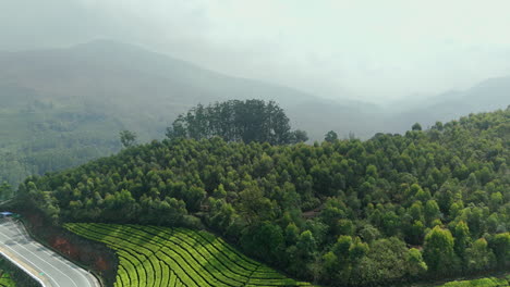 Panorámica-Hermosa-Plantación-De-Té-Brumoso-Plantaciones-De-Té-De-Clase-Mundial-En-Las-Colinas-De-Munnar,-Kerala,-India