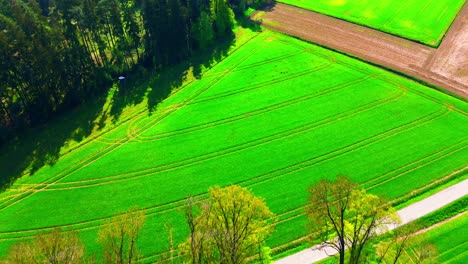 Impresionante-Vista-Aérea-De-Vibrantes-Campos-Agrícolas-Verdes.