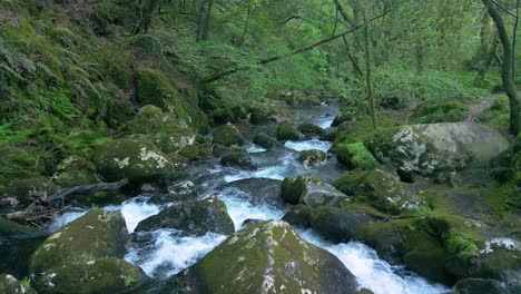 Flussstrom,-Der-über-Moosbedeckte-Felsen-Im-Santa-Leocadia-Wasserfall-In-Der-Nähe-Von-Mazaricos-In-Galicien,-Spanien-Fließt