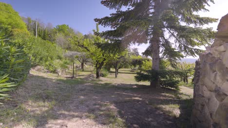 Slow-establishing-shot-of-large-trees-growing-in-a-garden-in-the-French-countryside