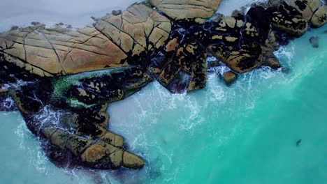 Aerial-top-down-turquoise-ocean-crashing-on-red-rock,-Bay-of-fires