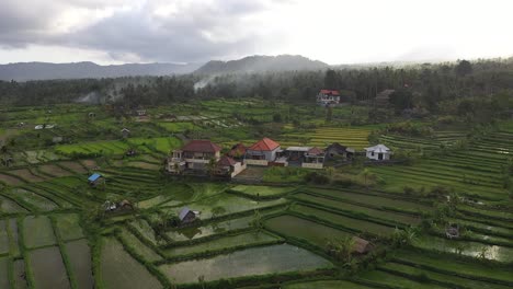 Aerial-swoop-over-houses-surrounded-by-rice-field-after-rain-with-fog,-Bali