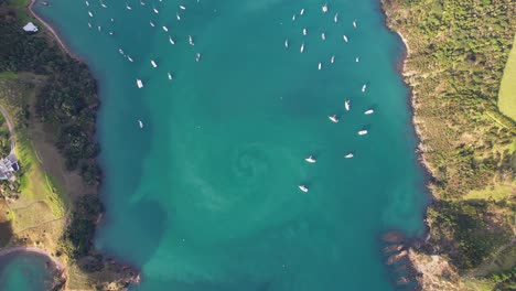 Bird's-Eye-View-Over-Matiatia-Bay-With-Boats-In-Auckland,-New-Zealand---Drone-Shot