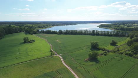 A-beautiful-aerial-drone-shot-of-a-picturesque-countryside-landscape-with-green-fields,-forests,-a-winding-dirt-road,-and-a-serene-lake-reflecting-the-blue-sky-with-white-clouds