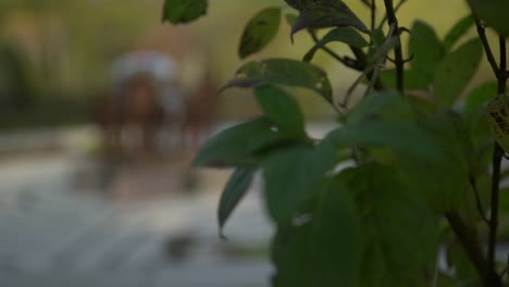 Cullen-Gardens-Park-Close-up-of-Leaves-with-Pull-Focus-on-Sculptures-in-Whitby,-Canada