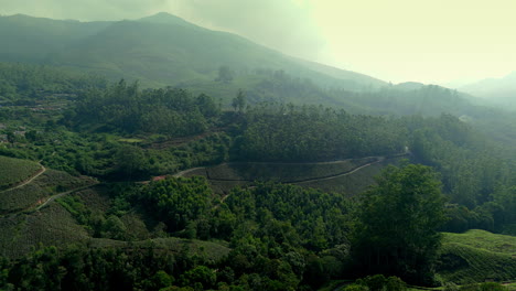 Panoramic-beautiful-misty-tea-plantation-near-forest-world-class-top-tea-plantations-in-the-hills-of-Munnar,-Kerala,-India