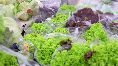 Frisch-Verpackter-Salat-Im-Plastikmarkt-Aus-Nächster-Nähe