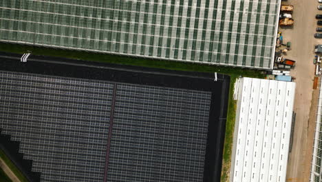 Massive-solar-panel-farm-generating-energy-for-tomato-greenhouses,-aerial-top-down-view