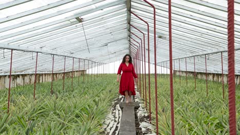 Pan-shot-of-Woman-in-red-walking-in-slowmotion-along-pineapple-greenhouse,-Azores