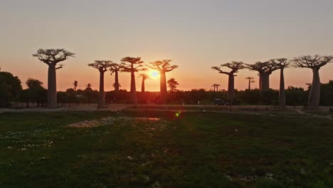 Eine-Gruppe-Von-Touristen-Besucht-Die-Baobab-Allee,-Um-Bei-Sonnenuntergang-Einzigartige-Endemische-Baobab-Bäume-In-Madagaskar-Zu-Sehen