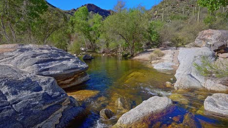 Vista-Primaveral-Temprano-En-La-Mañana-De-Las-Aguas-Doradas-De-Sabino-Creek-En-Sabino-Canyon,-Arizona