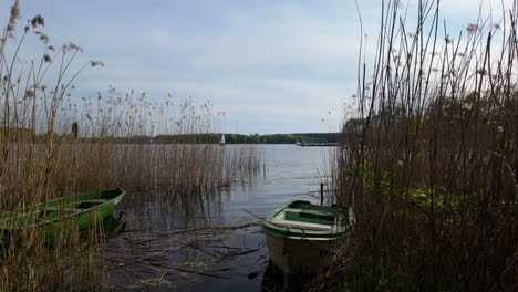 Two-small-green-boats-are-nestled-among-tall-reeds-by-the-lakeside,-with-a-calm-lake-and-a-distant-sailboat-in-the-background