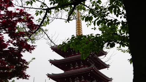 Hermosa-Pagoda-En-El-Santuario-Senso-ji-En-Tokio,-Japón,-Enmarcada-Por-árboles