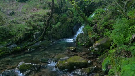 Moosbedeckte-Felsen-Mit-Kaskaden-Im-Tropischen-Dschungel-In-Santa-Leocadia-In-Der-Nähe-Von-Mazaricos-In-Galicien,-Spanien