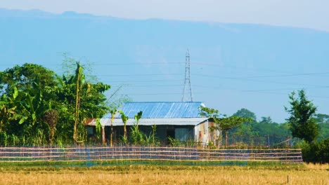 Hill-Side-Rural-Village-House-In-Bangladesh-In-Summer-Heat-Wave