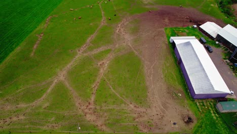 Aerial-View-of-Farm-with-Grazing-Cows-in-Howard,-Pennsylvania