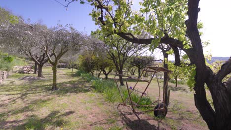 Langsame-Einspielung-Von-Blühenden-Bäumen-Im-Garten-Einer-Villa-In-Frankreich