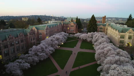 Drone-rising-in-front-of-the-Quad-park-of-the-University-of-Washington,-during-peak-spring-bloom