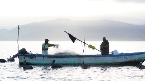 GOLFO-DE-NICOYA,-PUNTARENAS,-COSTA-RICA---MARCH-15,-2021:-two-fishermen-working-on-their-boat-at-sea,-pulling-up-the-fish-net-at-sunset,-under-the-attentive-eyes-of-hungry-pelicans