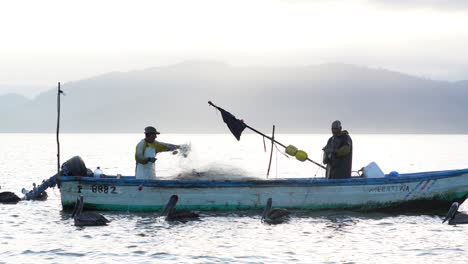 Golfo-De-Nicoya,-Puntarenas,-Costa-Rica-–-15.-März-2021:-Zwei-Fischer-Arbeiten-Auf-Ihrem-Boot-Auf-See-Und-Ziehen-Bei-Sonnenuntergang-Unter-Den-Aufmerksamen-Augen-Hungriger-Pelikane-Das-Fischnetz-Hoch