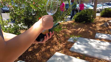 Säbeln-Einer-Champagnerflasche-Mit-Einem-Transparenten-Weinglas-An-Einem-Schönen-Sonnigen-Tag-Im-Schatten-Eines-Baumes
