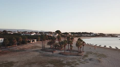 Vista-Aérea-De-Palmeras-En-Una-Playa-De-Arena-Temprano-En-La-Mañana-Amanecer-Cambrils-Provincia-De-Tarragona-España