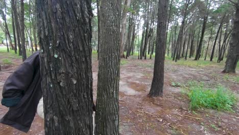 Female-walking-through-trees-in-a-forest