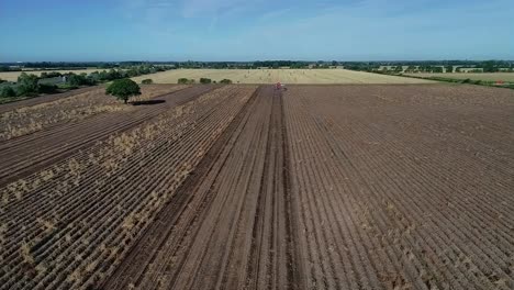 An-aerial-view-by-drone-down-a-potato-field-as-the-crop-is-lifted-by-the-potato-harvester