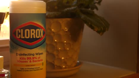 Plastic-bottle-of-Clorox-between-two-plant-vases