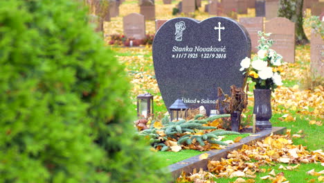 Un-Arbusto-Junto-A-Una-Hermosa-Lápida-En-El-Cementerio-De-Kviberg-En-Gotemburgo,-Suecia---Primer-Plano