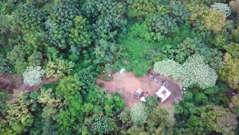 aerial-view-of-a-home-made-shack-squatter-surrounded-by-bushes-on-the-bluff-in-Durban-south-Africa