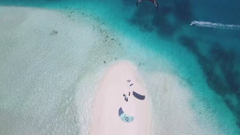 black-kite-stand-on-white-sand-caribbean-beach-in-salina-island,-los-Roques-Venezuela