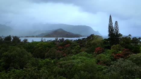 Luftaufnahme-über-üppigen-Tropischen-Wald-In-Richtung-Hanalei-An-Einem-Bewölkten-Tag