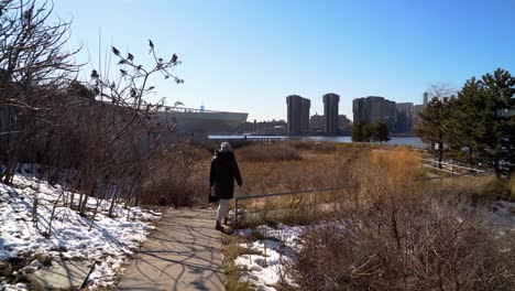 Mujer-Caminando-Por-Un-Sendero-En-Una-Zona-Pantanosa-De-Queens